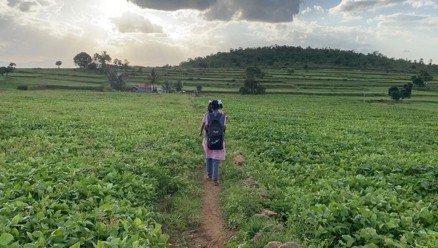 A child walking to school along a path through green fields
